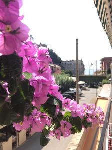 Appartamento LE CONCHIGLIE Monterosso al mare