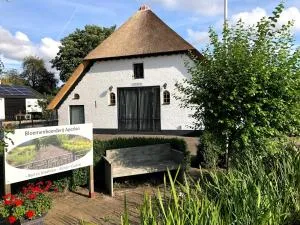 Bloemenboerderij Aperloo - 't Harde