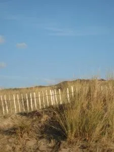 Les jardins du vivier - 圣马润