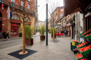 Appartements Riverside Toulouse (Renaissance) : photos des chambres