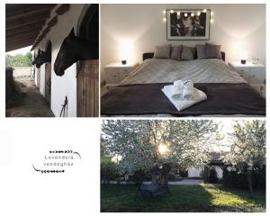 Penzión Levendula Vendégház Borsodivánka Maďarsko