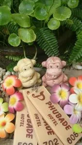 帕克憧普巴德酒店 - Ban Pang Kae