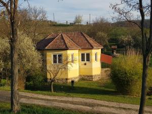 Ferienhaus Valleyhouse Kisbárkány Ungarn