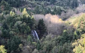 Chalet in the Forest Achaia Greece