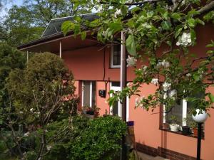 Pensionas Irina Guesthouse Užhorodas Ukraina