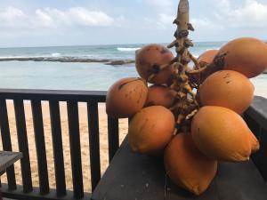 Orchard House Galle