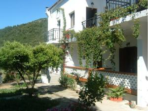 Pleiades Studios and Maisonettes Skopelos Greece