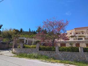 Agali Apartments Alonissos Greece