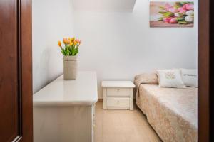 Il Tulipano - Appartamento al centro di Vico Equense