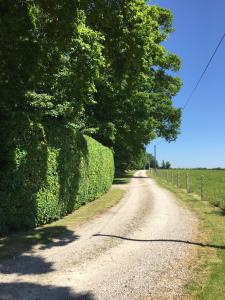 Maisons de vacances Ferme de Riou : photos des chambres