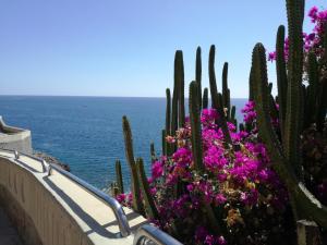 Luxury 2 bedroom APT 2 min from beach