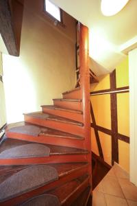 Appartements Au buisson de roses : photos des chambres