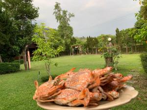 Baan MaiKhiangPhu Wang Nam Khiao