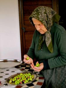 Agriturismo Guthiddai img76