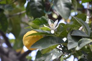 B&B Antica Dimora img29