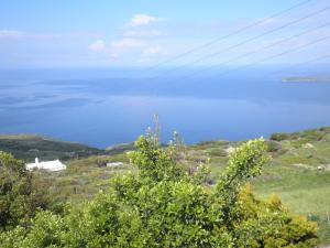 Margarita's House Andros Greece