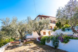 Maria Apartments Studios Epidavros Argolida Greece