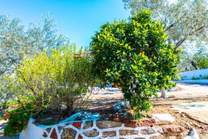 Maria Apartments Studios Epidavros Argolida Greece