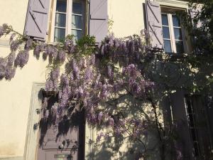 Maisons d'hotes Lilas-rose : photos des chambres