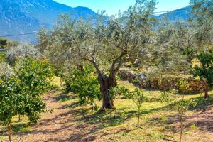 Maria Apartments Studios Epidavros Argolida Greece