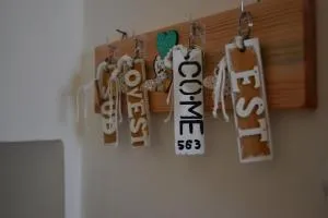 Co.Me 563 - 卡扎戈·迪·皮亚尼加