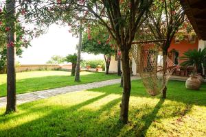 Luxury Hilltop Villa 200m from the Beach Evia Greece
