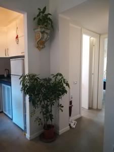 Torvajanica Apartament