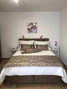 Apartment center Roko