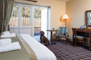 The Amble Inn - The Inn Collection Group