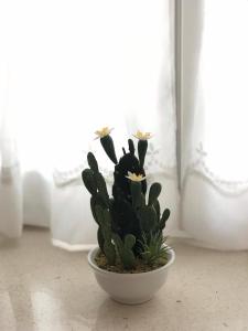 Apartment center Roko