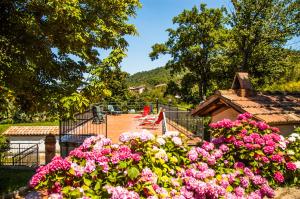 Hotel La Scottiglia e Ristorante