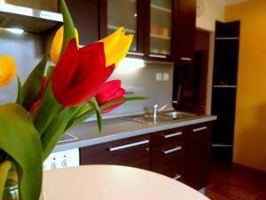 Best CASTLE VIEW-bus station, parking, center