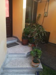 Mini Departamento Tambo Huascar 2