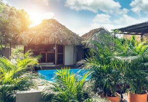 Villa Eden Palomino - Ubytování bez kategorie ve městě Palomino