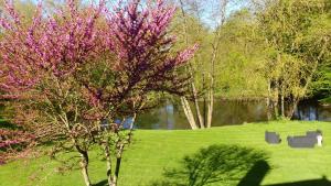Le Rideau Miné photo 9