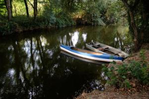 Le Rideau Miné photo 21