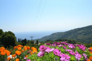 Guesthouse Kapaniaris Pelion Greece