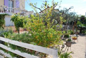 Appartements le pitchounet : photos des chambres