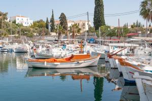 Mimoza Spetses Greece