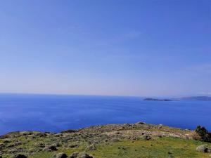 Coucou Vaya Andros Andros Greece