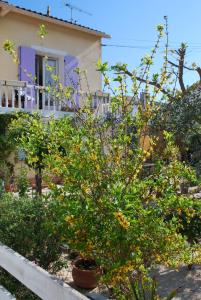 Appartements le pitchounet : photos des chambres