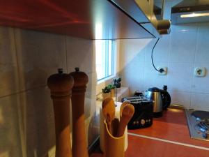 Apartments Anica