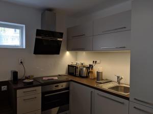 AP10 - Apartments 4U Březinova "Overnight Simply"