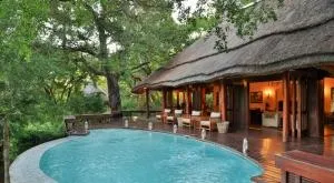 Imbali Safari Lodge - Rezervace Manyeleti