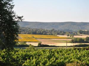 Maisons de vacances Maison Chemin d'Uzes : photos des chambres