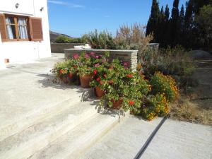 House in the grass land. Andros Greece