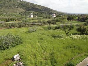 House in the grass land. Andros Greece