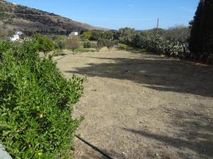 House in the grass land. Andros Greece