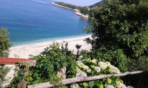 All about view Agios Ioannis Papa Nero Pelion Greece