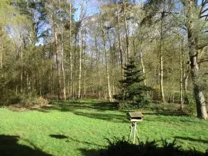 Ferienwohnung Bachforelle - Bothel